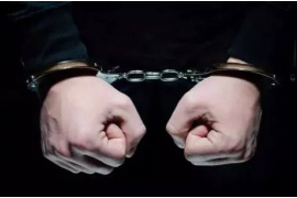 新泰企业清欠服务